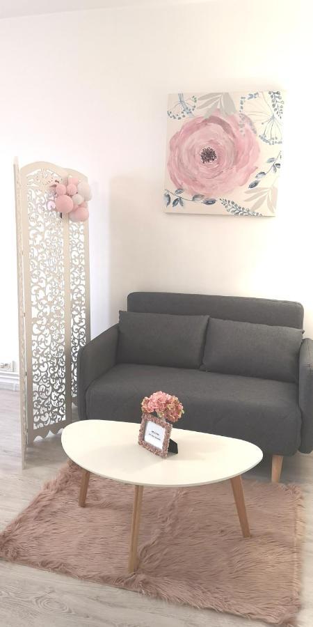 Diamond Apartment Târgu-Mureş Extérieur photo